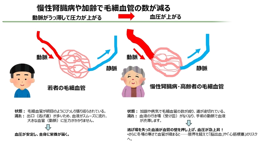 健康診断の結果